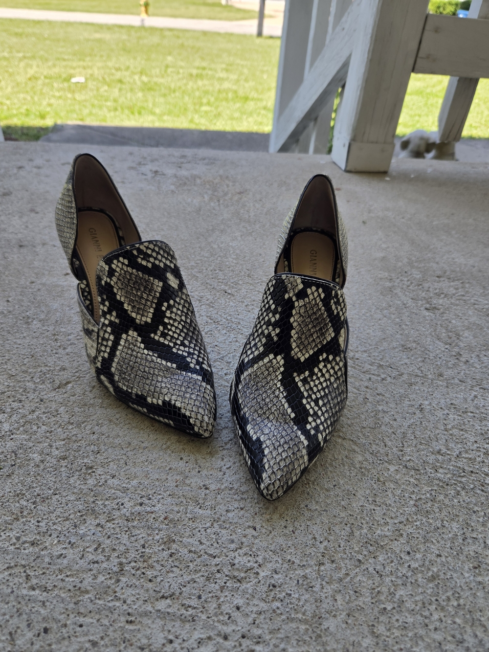 Giani Bernini Women’s Snake-Print Pointed Slip-On Heels in Black and Cream 6.5